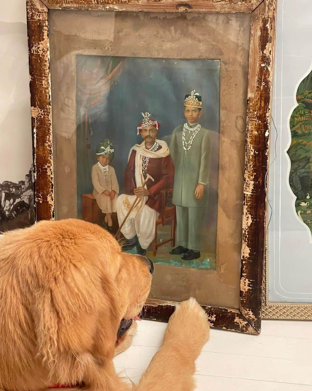 ブルース・ウェーバーさんのインスタグラム写真 - (ブルース・ウェーバーInstagram)「Gordie admiring a family portrait from India I found at an antique store years ago.」3月8日 4時17分 - bruce_weber