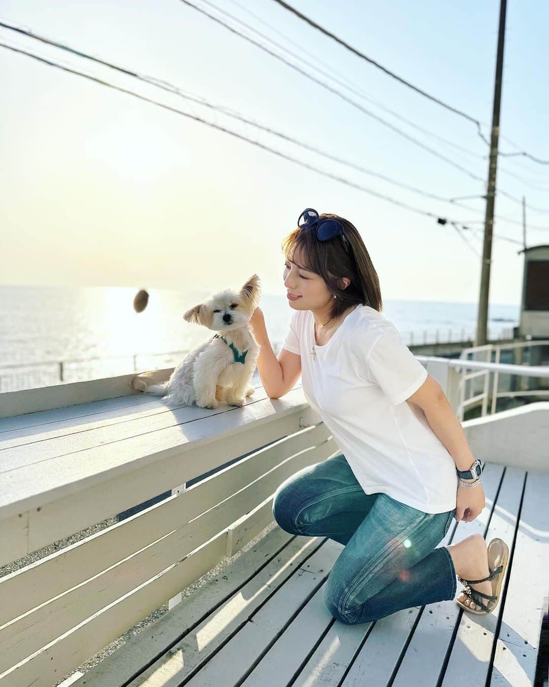 チャン・リーメイのインスタグラム：「春の海  至福のかぜ  #葉山 #andsunterracehouse  #nodognolife」