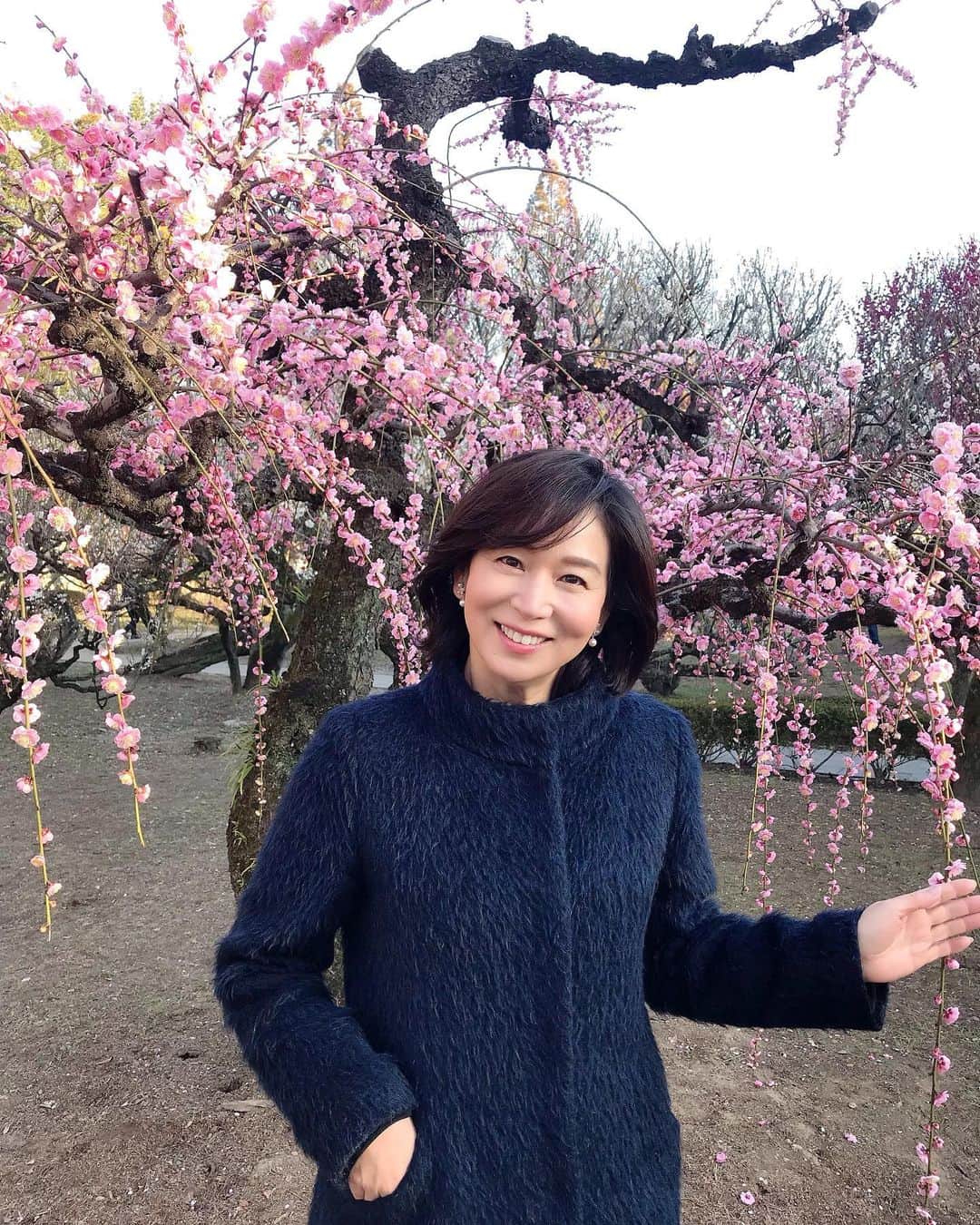 のインスタグラム：「先週久留米に行ってきました❣️ 梅林寺という梅の名所にご案内いただきました✨✨✨ 梅のいい香りが漂い、春の訪れを実感しました😊 #久留米#梅林寺外苑#梅の花#伊藤聡子」