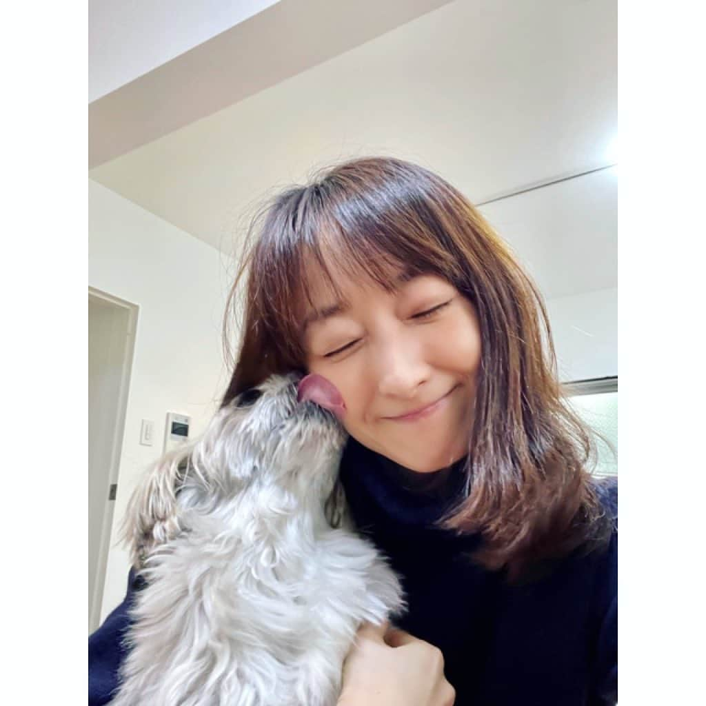 花總まりさんのインスタグラム写真 - (花總まりInstagram)「らぴ太くん、宙を見つめて何を考えているんだろうと思ったらペロってしてくれた〜😍 このワンペロで幸せいっぱい💕 @lappy444  #らぴ太広報部長 #らぴ太 #シーズー」3月7日 20時03分 - hanafusamari_official