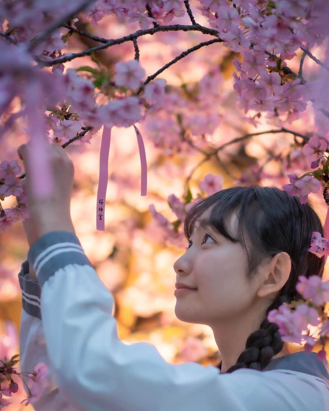 川合菖蒲のインスタグラム