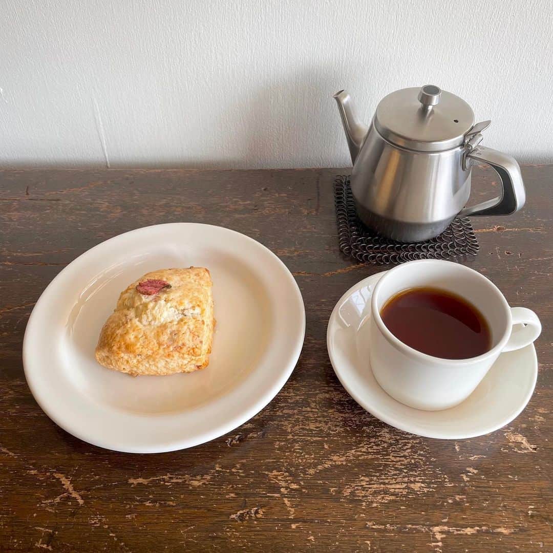 志乃のグルメインスタ