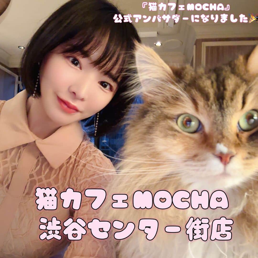 三宮つばきのグルメインスタ