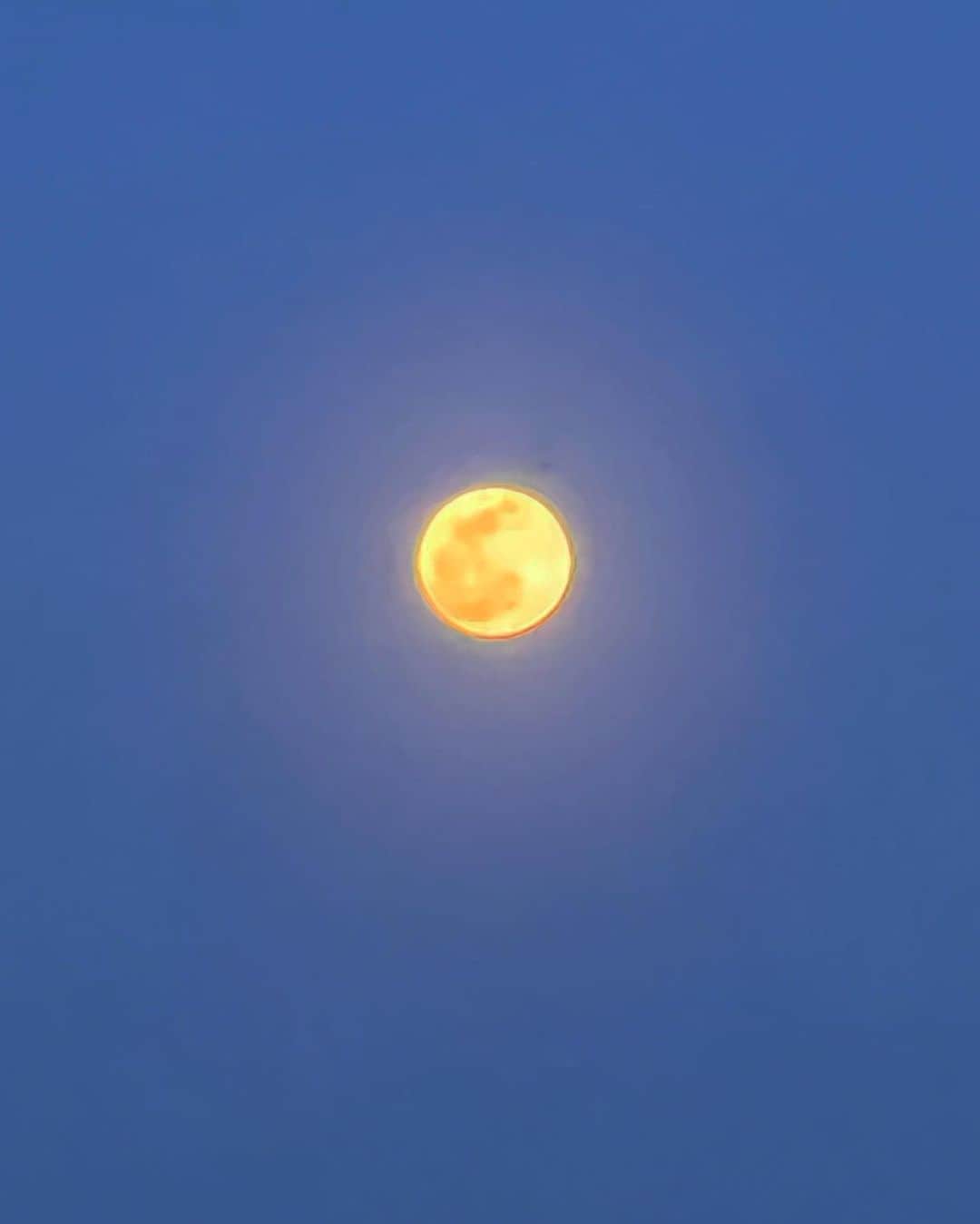 鈴木蘭々さんのインスタグラム写真 - (鈴木蘭々Instagram)「今夜は友達と見晴らしの良い場所で月ウォッチング🌕  キレイ☺️✨  #フルムーン #満月 #今夜は未確認飛行物体とは遭遇出来なかった🤣」3月7日 21時41分 - lanlan_suzuki