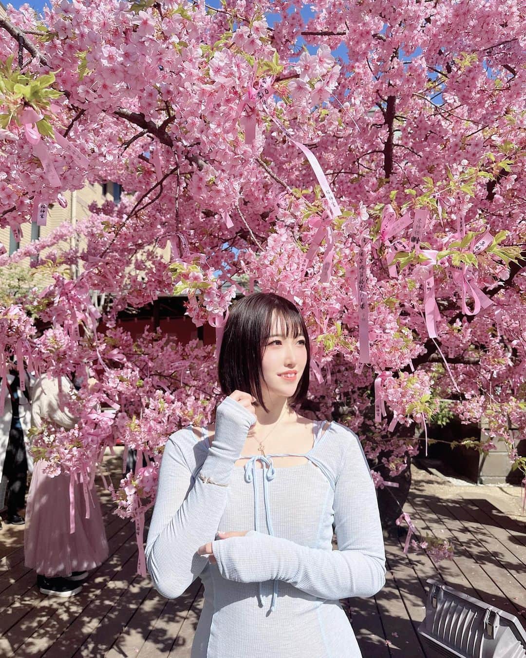 のインスタグラム：「🌸 ⁡ 今年も桜神宮へ🌸 ⁡ なんと3年連続☺️🤍 ⁡ ようやく御朱印を頂くことが出来ました😂💗 いつも行列で諦めてたんやけど 今年は行く時間がとっても早くて 短時間で順番が回ってきました💕 ⁡ とってもかわいい 桜柄の御朱印帳袋とお守りも🐓💗💗 ⁡ 参拝中にめじろか飛んできて なんだかご利益がありそうな🙌✨ ⁡ 春の到来ですね🌷🌸」