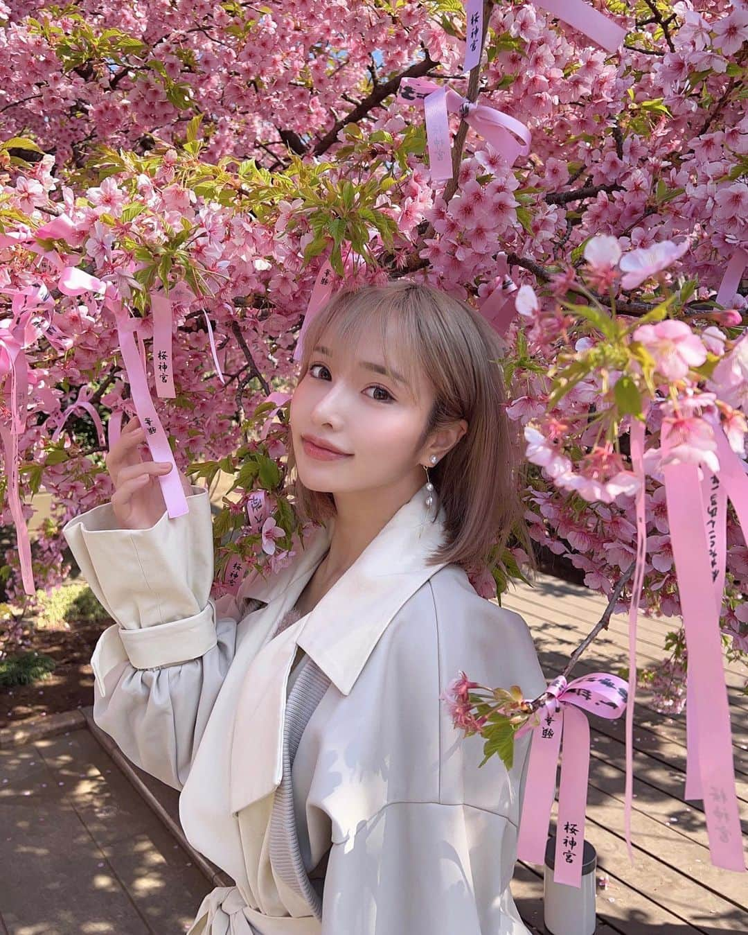 ゆりらっくまのインスタグラム：「🌸🧸🎀ぴんく＼⍩⃝／  #桜#桜神宮#河津桜」