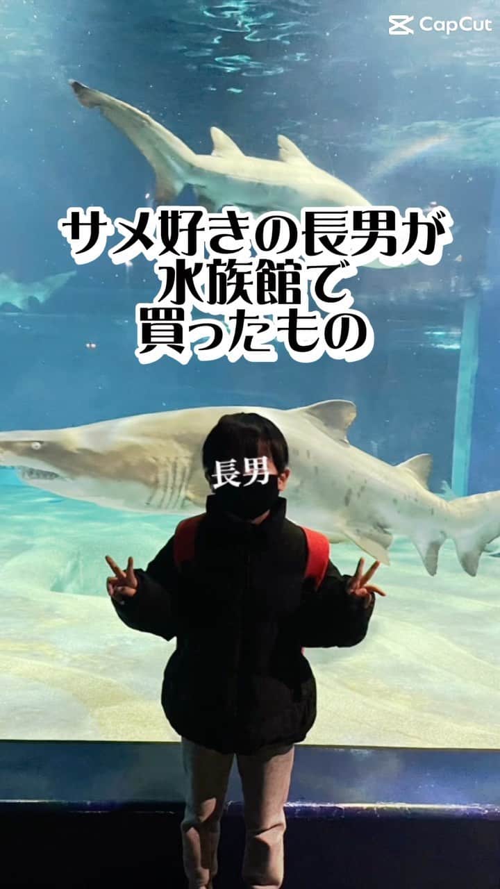 小池真友のインスタグラム：「え、ほんとにこれでいいの？って何度も確認した🤣🦈 . . アクアワールド大洗は日本で1番サメがいる水族館だということで、サメ大好きな長男のために行ってきました🥺 . たくさんサメに会えて大興奮でしたwww .  #7歳誕生日 #7歳男の子 #7歳長男 #小学生男子 #小学生 #アクアワールド大洗 #サメグッズ」