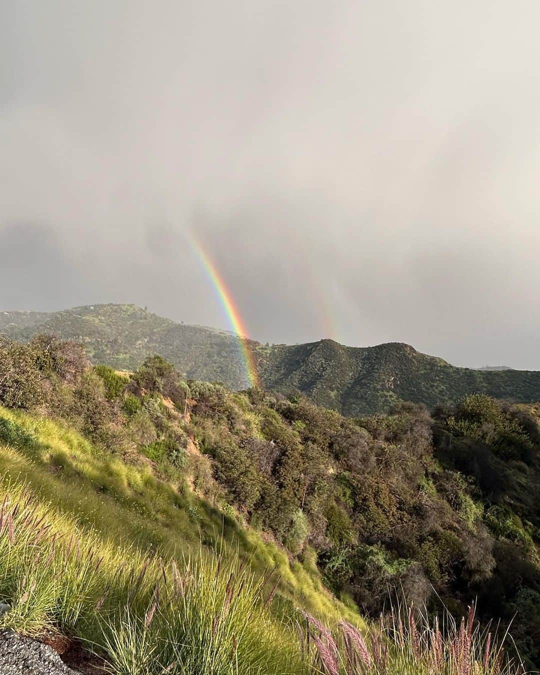 REONAさんのインスタグラム写真 - (REONAInstagram)「Double rainbow 🌈😍」3月7日 23時17分 - reona.0504