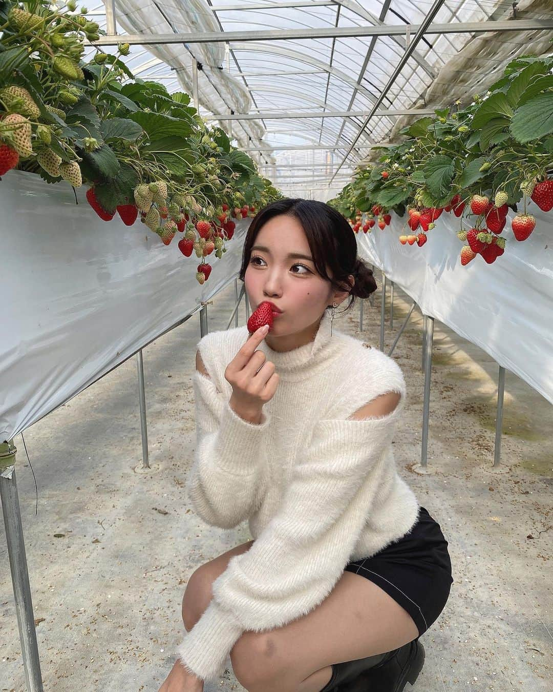 斉藤めぐのインスタグラム：「. . はるか昔のバスツアーぶりにいちご狩り行った🍓 めっちゃおいしかった🤤時間足りなかった🥹 .  #いちご狩り #ミニスカート #あしすたぐらまー #あしすたぐらむ #足 #脚 #脚フェチさんへ #美脚 #ふともも #名古屋 #大須 #生脚 #グラビア #gravure #model #性感 #外拍 #性感內衣 #sexy #selfie #sexyhot #pinupgirl #bajutidurseksi #Comel #asiangirlrider #셀카 #셀피 #셀스타그램 #코디 #스타일링어드바이저」