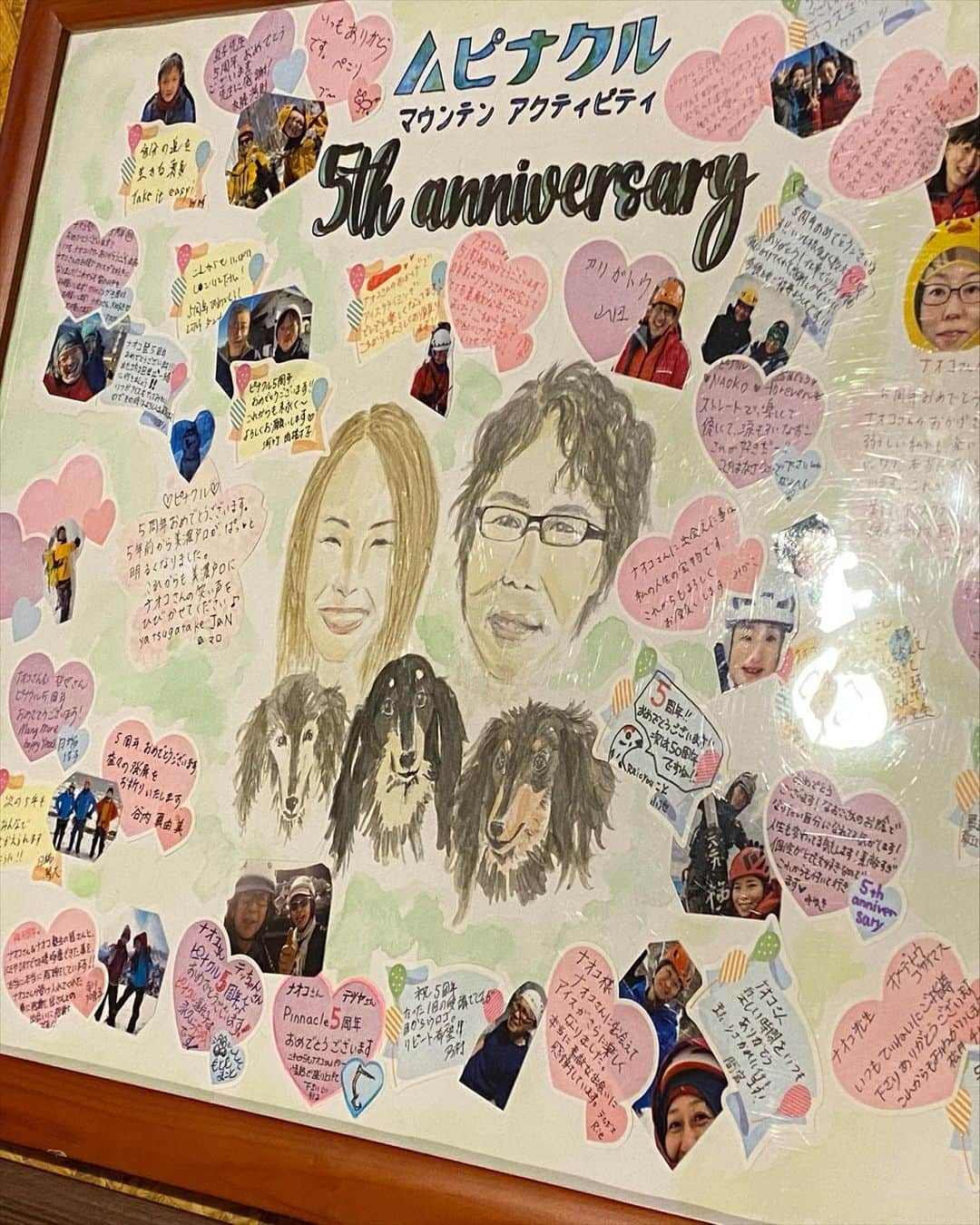 白數里子のインスタグラム：「@pinnacle.mtact  5周年記念㊗️色紙　２枚目  普段人は全く描かないから自信がないけど、記録として投稿。 ナオコさんの顔が整いすぎてて、逆に難しかった！  ダックスフント'sはとても楽しく上手に(似てる)描けたと思う🐶 1番左の子だけ、いい写真がなかったので半分妄想混じり🐶  水彩、鉛筆」