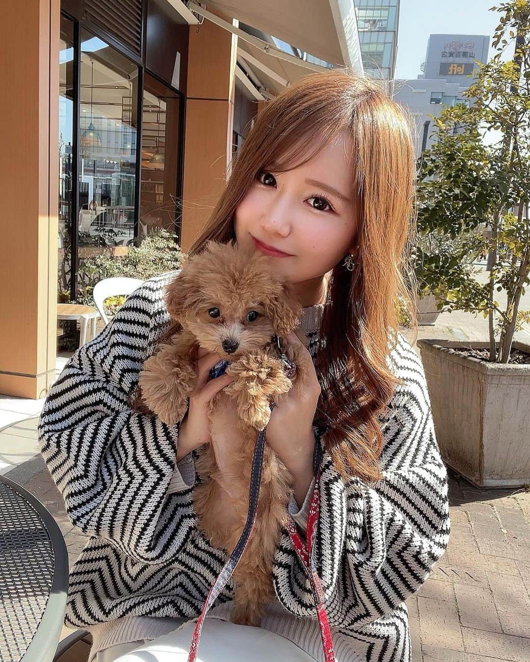 のインスタグラム：「⁡.  家族が増えました🐶♥️  名前はこむぎ🐶で ティーカップの男の子です✨  毎日癒されまくりで メロメロでございます😭😭♥️ 宝物です🐶❣️✨  小麦と遊んでくれる方 大募集中です♥️笑  #本日のコーデ#outfit #ポートレート#撮影 #撮影モデル#関西被写体#インフルエンサー #ビジネス#副業#事業#女性企業#美容 #ビジョビ#ビジョスタ#女性経営者」