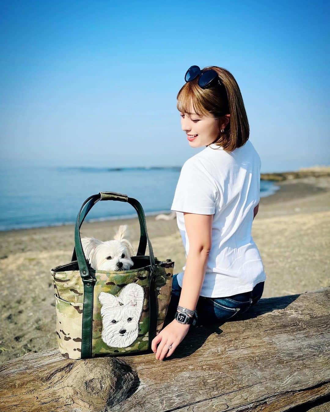チャン・リーメイのインスタグラム：「初夏のようなお天気🌈  葉山に来ています✨  恵になる時間　@n2maniac  さんの  フルオーダーのキャリーバッグ🧳  旅行先でも大活躍✨  なによりかわいいボクのイラストと、  こだわりのミリタリー生地に  ブリティッシュグリーンの持ち手☺️  うーむ・・  春夏のファッションにもぴったりなのだ😊  白Tにデニムの季節がやってきたのだ😎  ルルのバッグは何色にしようかな😍  #恵になる時間 #飛び出す似顔絵バッグ #素敵なキャリーバッグ #わんことお出かけ #神奈川県立葉山公園 #オリジナルわんこバッグ #nodognolife」