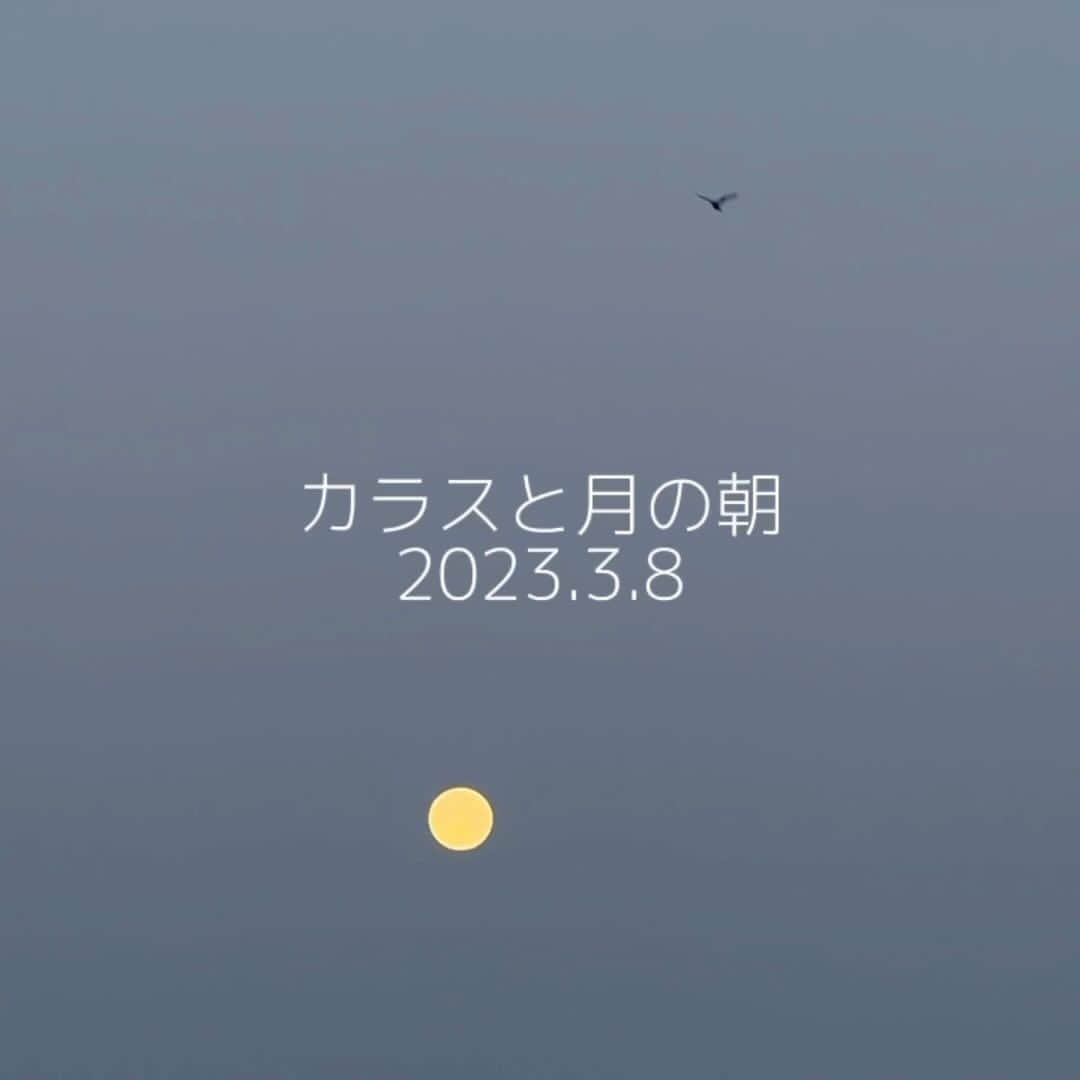 奥井亜紀のインスタグラム：「朝、6時。 起きたのではなく 寝る前。 笑  ちょっと寝ようっと。  でも今は朝の光りがきれいだな。」