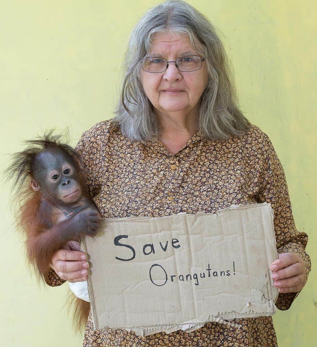 OFI Australiaさんのインスタグラム写真 - (OFI AustraliaInstagram)「Today on International Women's Day we are truly proud to celebrate OFI Founder & President, Dr. Biruté Mary Galdikas, for dedicating her life to the conservation of orangutans and our world’s endangered biodiversity and ecosystems. Dr. Biruté has saved the lives of thousands of orangutans and has helped ensure that wild orangutan populations and their tropical rainforests will thrive into the future. We honour her for her tireless work with over 50 years in the field, and for being our inspiration. We honour her for calling to the world the importance of uniting to protect our future. Thank you @drbirute.  To learn more about Dr. Biruté, please visit our website. The link is in our bio.   #drbirute #internationalwomensday #ourhero #embraceequity2023 #IWD #IWD23」3月8日 8時05分 - ofi_australia
