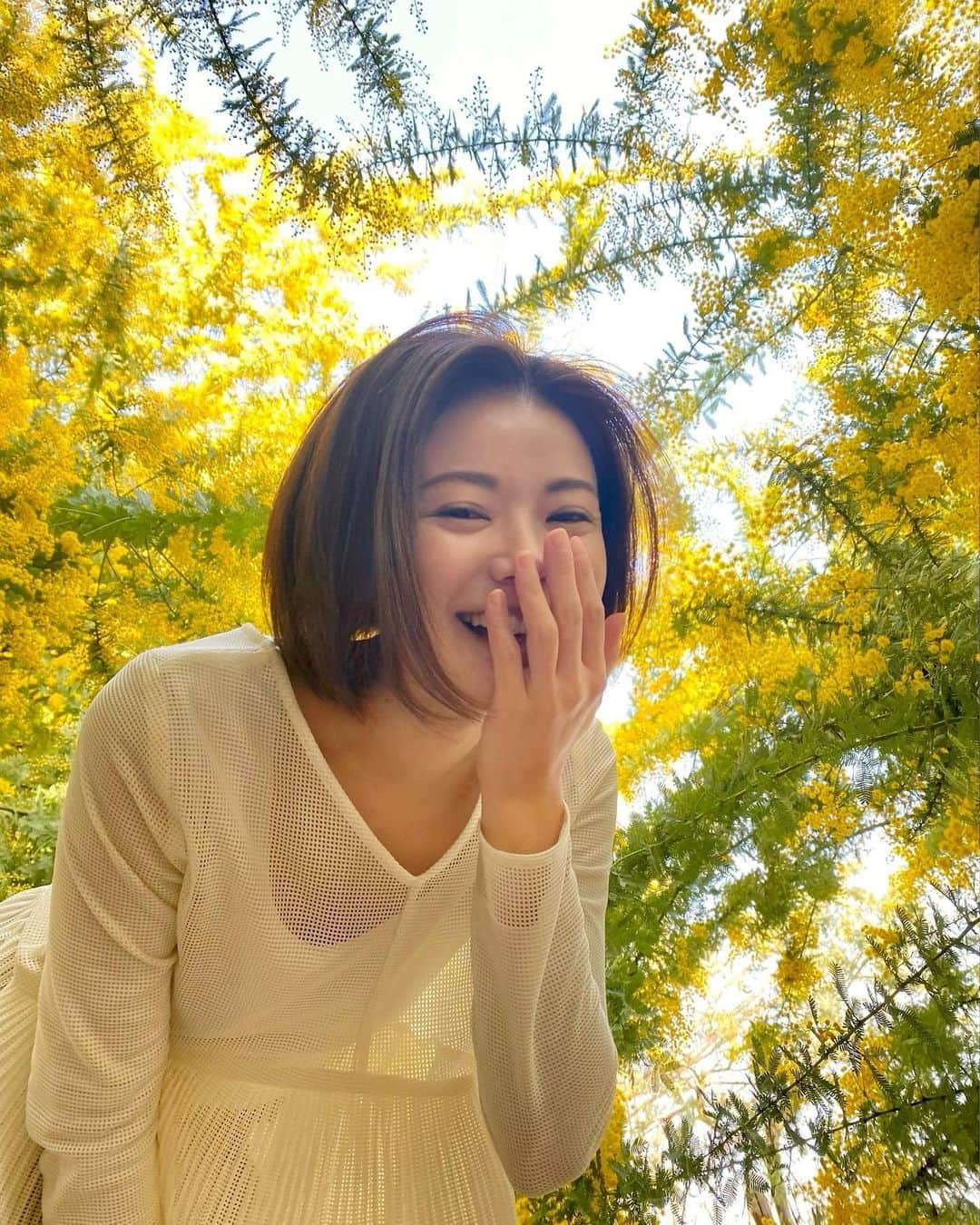 清水由紀のインスタグラム：「💛💛💛  どんな風にもたゆたうミモザのようにしなやかな女性でありたい🤭  にしても黄色って明るく元気をくれるよね🌼  #ミモザの日 #ミモザ #mimosa  #大府みどり公園 #愛知」