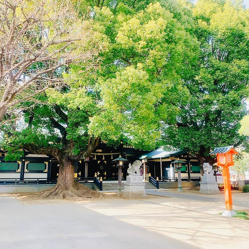 甲斐まり恵さんのインスタグラム写真 - (甲斐まり恵Instagram)「創建1062年 穴八幡宮⛩  #穴八幡宮 #商売繁盛 #出世 #開運 #早稲田」3月8日 9時30分 - marie_kai_0613