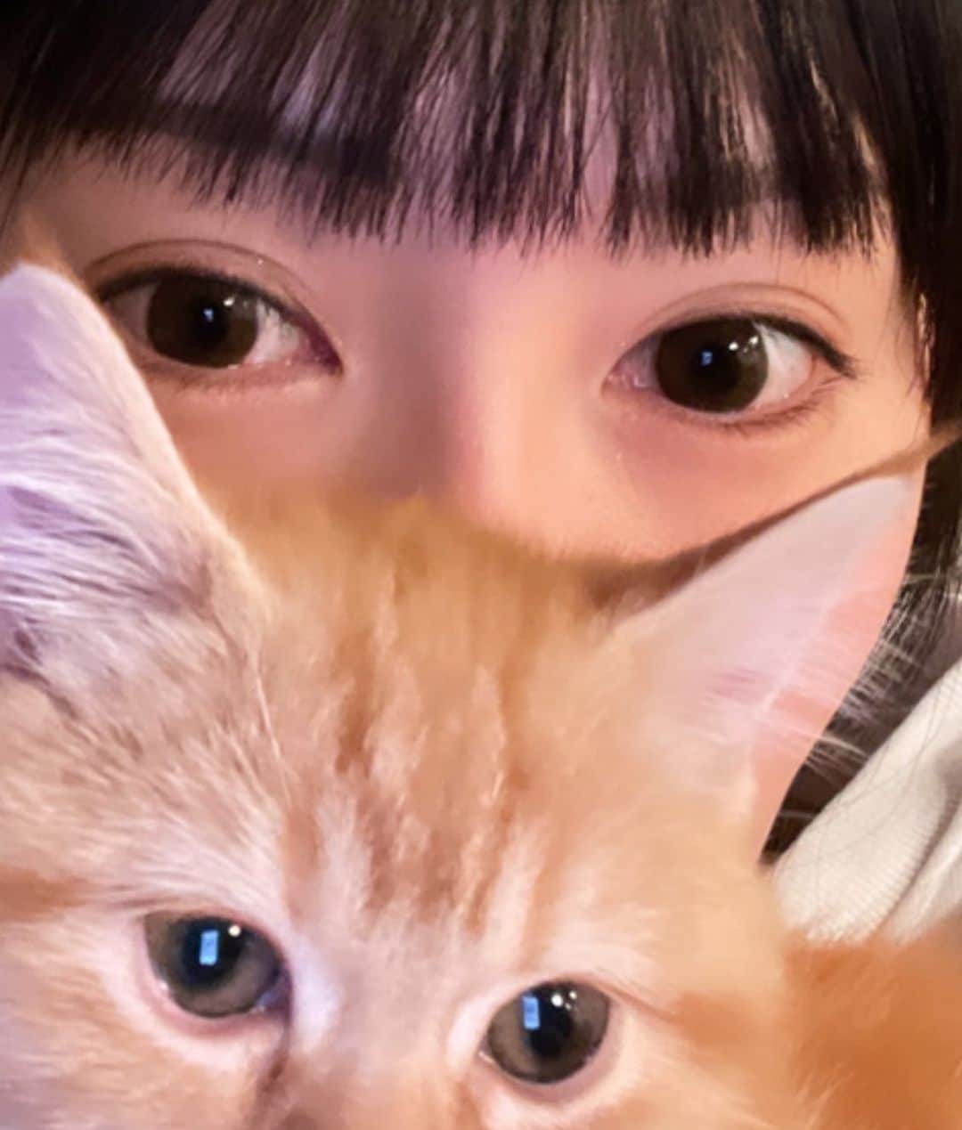 丸の内OLレイナ（美容）のインスタグラム：「ぷち😸  #ネコと一緒」