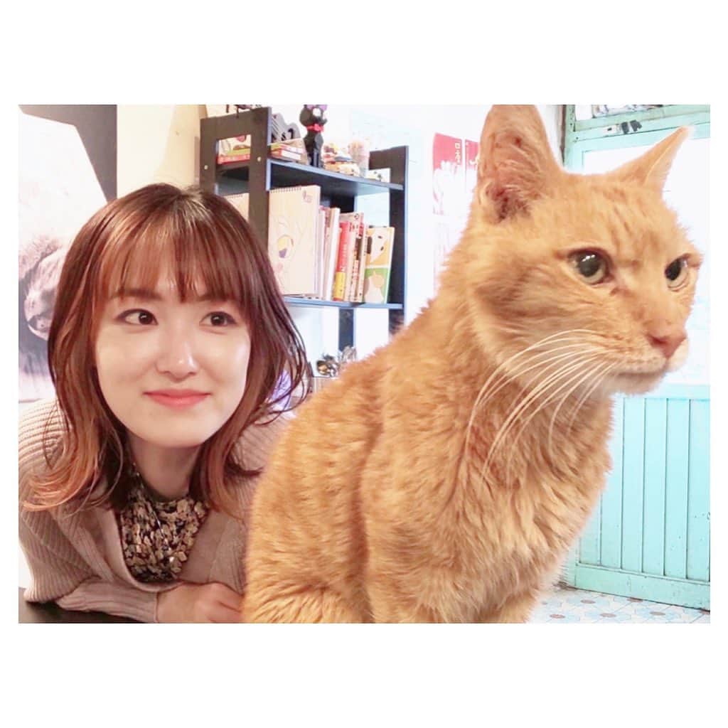 大後寿々花のインスタグラム：「また会えたね☺︎ #🐈 #再会 #猫村 #5年ぶり #❣️」