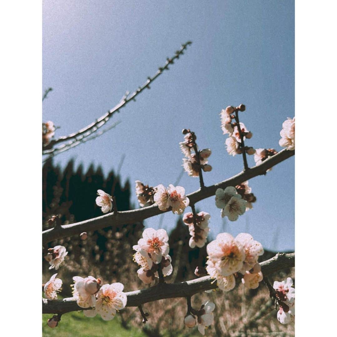 紗栄子のグルメインスタ