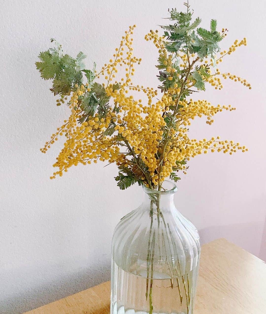 佐藤千晶のインスタグラム：「黄色のポンポン状の小花がたくさん。 めんこい。  ヨーロッパでは、ミモザは春を告げる「冬の太陽」と呼ばれてるそう。  部屋の中がぱっと明るくなる😊  #ミモザの日 #国際女性デー  #花瓶はiichikoの空瓶 ♡」