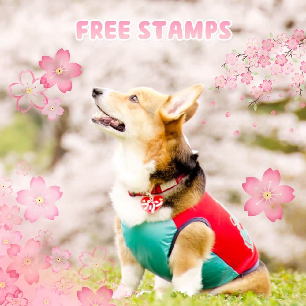 のインスタグラム：「💗無料💗スタンプが開花しました🌸 桜模様でお花見しましょ🍡 . 💗Free💗Stamps in bloom🌸 Meet me under the cherry blossoms🍡 . #linecamera #lineカメラ #ラインカメラ #無料 #無料配布 #free #可愛い #cute #春 #spring #🌸 #桜 #サクラ #さくら #cherryblossom #cherryblossoms #お花見 #春の訪れ #ピンク #pink #加工アプリ #画像加工 #加工画像 #加工の仕方 #加工 #スタンプ #stamp #stamps」