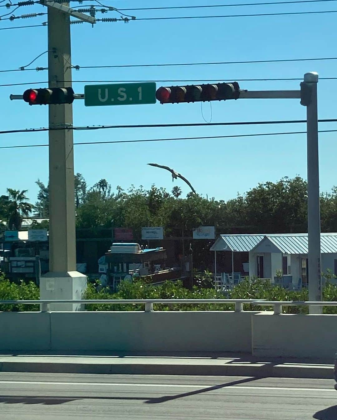 白鳥羽純さんのインスタグラム写真 - (白鳥羽純Instagram)「🇺🇸 アメリカ最南端！！ Southernmost Point USA Key West, FL  目と鼻の先にはキューバです🇨🇺  そして国道1号線〜！🔜🔛 BEGINとENDの標もありました🔚 フロリダ州キーウェストを起点として、東海岸沿いにカナダとの国境まで繋いでいるそうです  #キーウェスト #アメリカ最南端 #90miletocuba #SouthernmostPointUSA #homeofthesunset #USroute1」3月8日 12時21分 - hasuminst