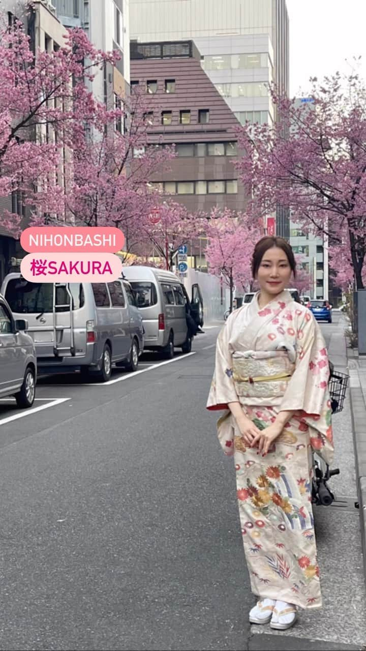 元井美貴のインスタグラム：「日本橋のオカメザクラが綺麗でした🌸東京のソメイヨシノ開花予想は3.16頃！桜の季節ですね〜 #日本橋 #桜 #SAKURA #nihonbashi #オカメザクラ #okamezakura #cerezosenflor🍒🌸 #cherryblossom🌸」