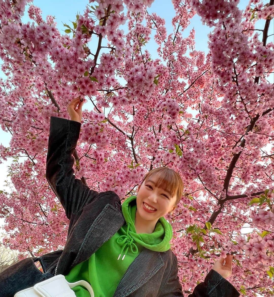 佐藤詩織さんのインスタグラム写真 - (佐藤詩織Instagram)「満開の桜?梅?を背負った🌸  #桜　#sakura  #cherryblossom」3月8日 22時14分 - shiori_sato_artwork