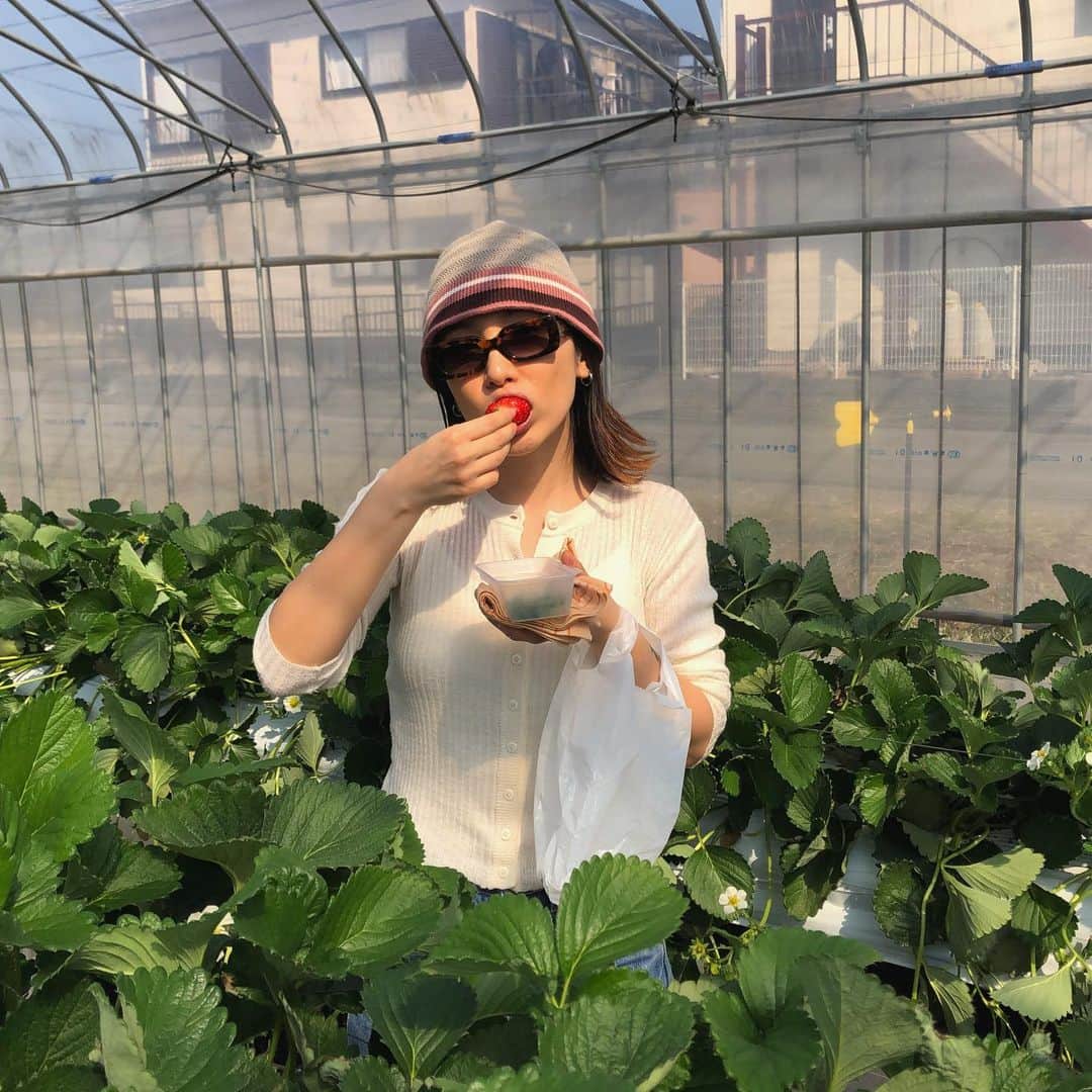 太田莉菜のインスタグラム：「spring came suddenly 🍓🌸🐝」