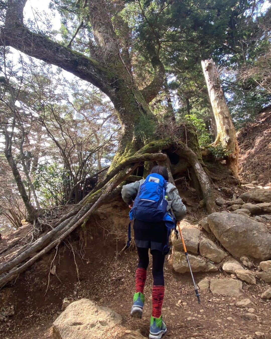 YUKI TAKESHIMAさんのインスタグラム写真 - (YUKI TAKESHIMAInstagram)「私は、出来る限り月に1度都内を離れ自然と触れ合う時間を大切にしています。3月3日桃の節句🍑 @kazukovalentine ちゃんを誘ってみちるちゃん @barbiemichiru お勧めのパワースポット　神奈川県大山の阿夫利神社奥の院を目指します⛰⛩ 急な坂道ゴツゴツ岩場山のてっぺんまで約1時間半。 早朝握ったおにぎり🍙が美味しい♥️⛰🫶 かなりの岩場の登拝でした。→これから登る人は登山靴🥾と杖必須⚡️ 下山してから　@tamagawakan レトロな空間でゆったり♨️筋肉痛もほぼなく 翌日のハードスケジュール助けられました💜  #BISOU #💋  #自然界と宇宙に繋がる旅 #yUKI #enhanceaday  #大山阿夫利神社奥の院　 #talktotrees」3月8日 22時32分 - yukimake