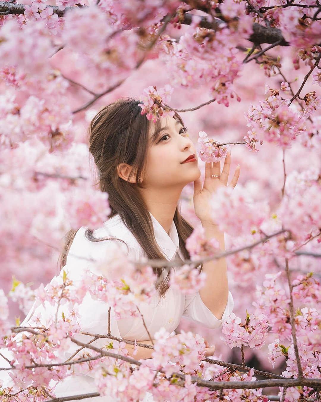 大野凜のインスタグラム：「春だぁ  ミモザすきです   #淀水路  #桜 #淀河津桜  #河津桜  #🌸 #被写体 #ポートレート  #ポートレート撮影  #ポートレートモデル  #サロモ  #関西サロモ #京都サロモ #大阪サロモ #桜撮影  #京都 #京都観光 #kyoto #sakura #ミモザ  #ミモザの日」
