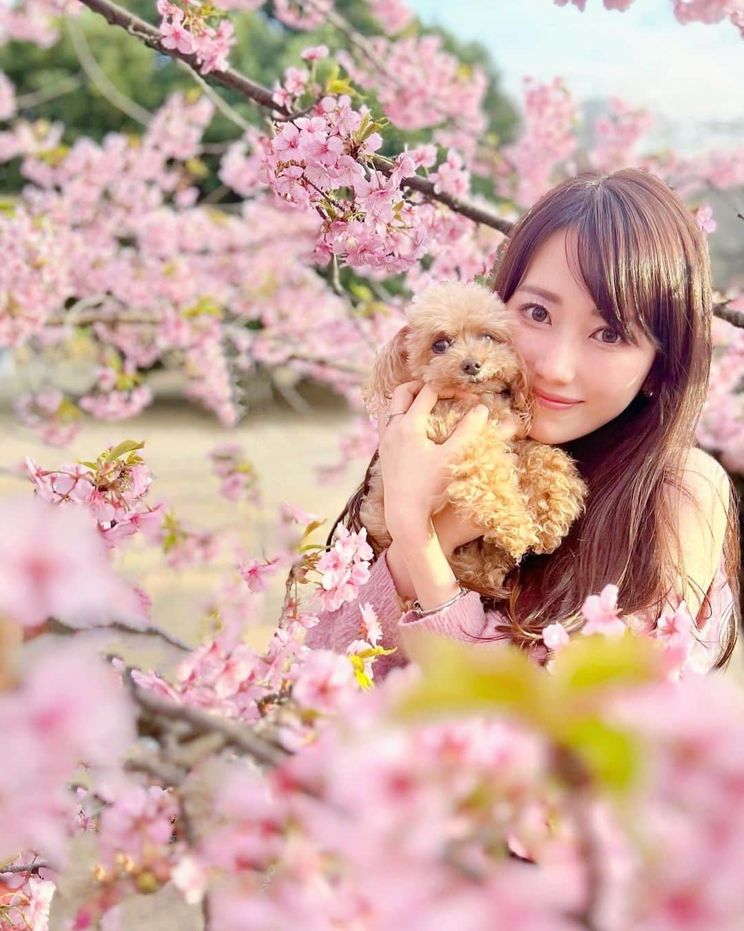 佐倉知里のインスタグラム：「🌸🌸🌸  お天気よくて公園にハンバーガー食べに行ったら🍻 河津桜が満開だったよ💕      #sakura#河津桜#代々木公園#桜まつり#桜ポートレート#桜満開#桜フォト#東京桜#東京桜スポット」