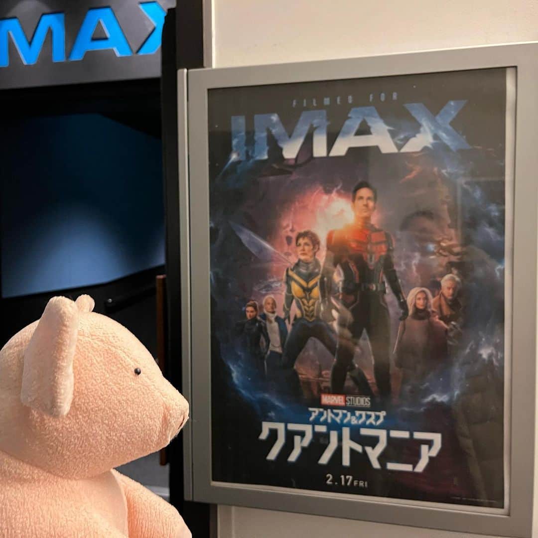 のインスタグラム：「『アントマン＆ワスプ：クアントマニア』見てきた。小さいのか大きいのかわからん！ #ぶたぶた #山崎ぶたぶた #矢崎存美」