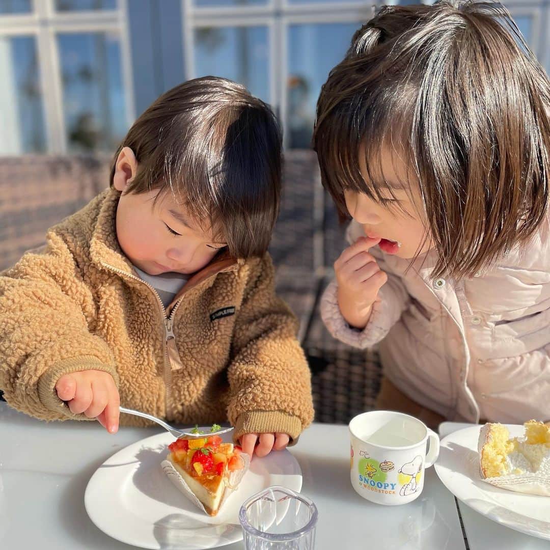 いわさきふきこ さんのインスタグラム写真 - (いわさきふきこ Instagram)「テラスが気持ちの良い季節ですね🌸  #マリーナシティホテル #カテリーナ #姉弟 #1歳7ヶ月差 #3歳5ヶ月 #1歳10ヶ月」3月8日 16時42分 - fukikoiwasaki