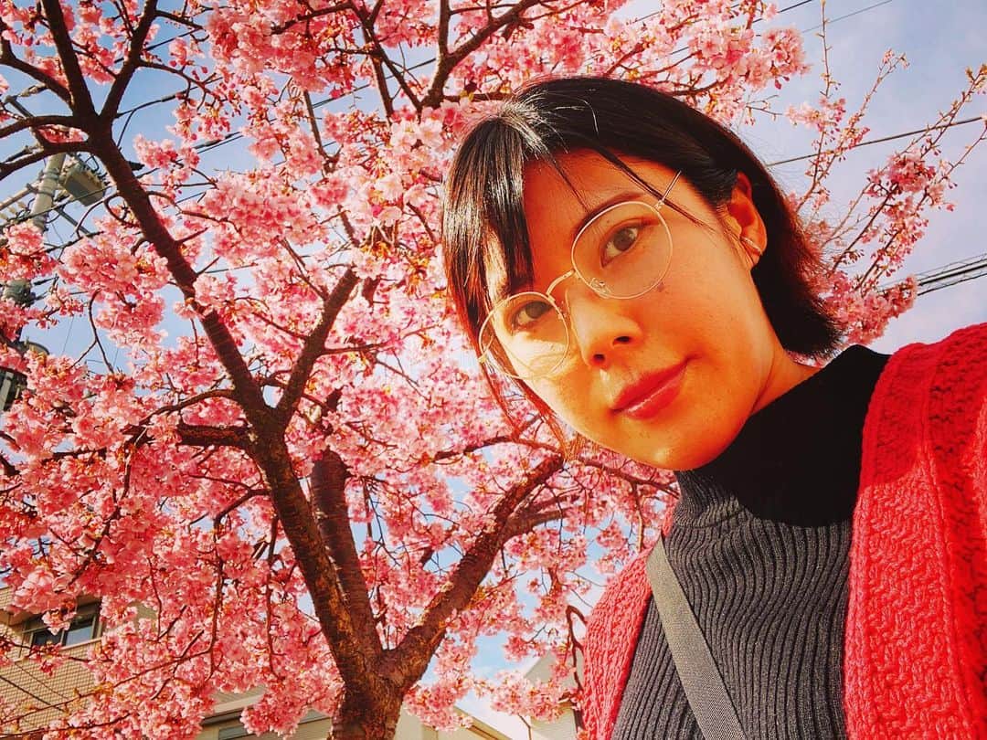 中村妃智さんのインスタグラム写真 - (中村妃智Instagram)「✴︎ 🌸🌸🌸🌸🌸🌸🌸 🌸cherry blossoms🌸 🌸🌸🌸🌸🌸🌸🌸  近所の桜が満開でとても綺麗です✨夜桜も素敵で、おばあちゃん達もお花見してました🍡  気温も上がってきてhappy💓 ただ花粉が酷くて目もほじくりたくなるのでこの時期はメイクもほとんど出来ないですね😂笑  皆さんは花粉症ですか？  #桜 #満開 #花粉症」3月8日 17時25分 - kisatonakamura
