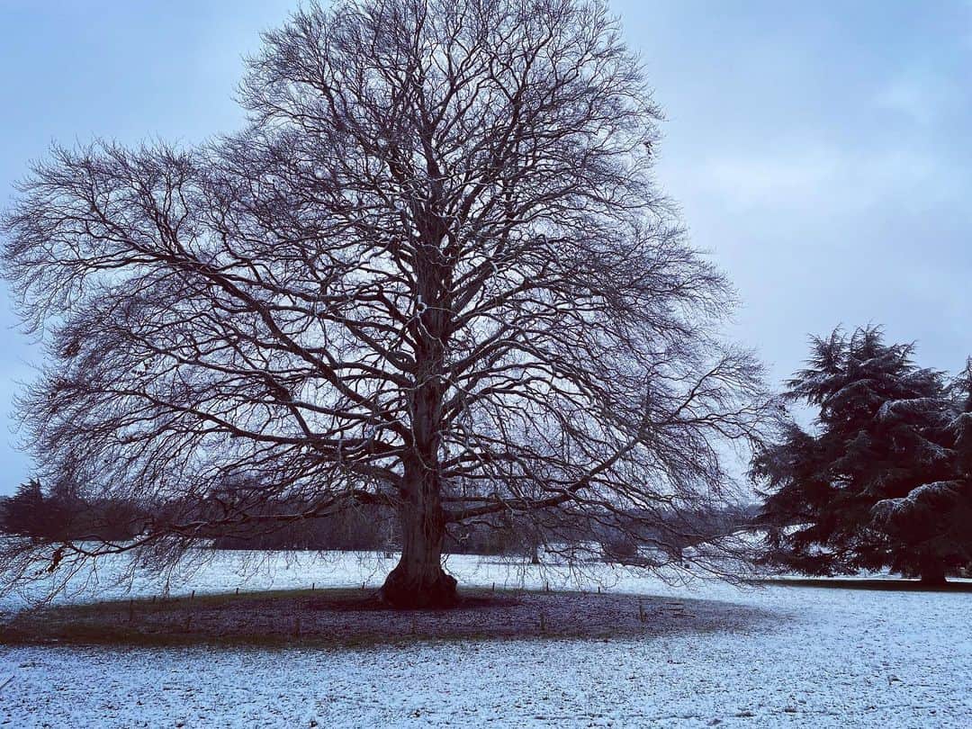 トム・ベリカのインスタグラム：「Filming in London…springtime! March will totally be fine…😒 #directorschallenge #directorsPOV」