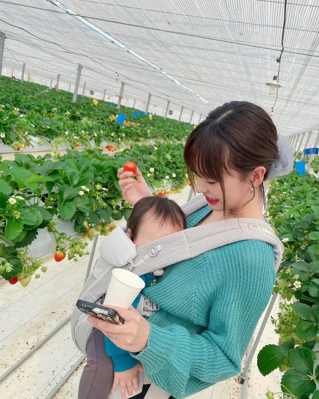 山田菜々美のインスタグラム：「. ベビくんと 初いちご狩り🍓 . 最初は寝てたけど 寝ぼけながらパクパク食べてた🫶🏻 一緒にいっぱい食べれて幸せ🥰 . 来年も行こう🌸 . #いちご#いちご狩り#苺」