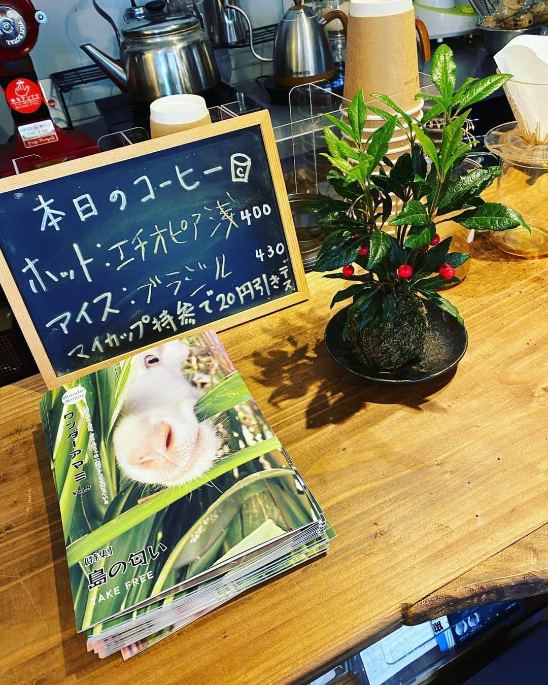 三谷晶子のインスタグラム：「ワンダーアマミ Vol.9配布始まりました！ 今回のテーマは『島の匂い』。インパクトある山羊の表紙が目印です。  わたしは『目には見えない礎のような香り』と題して、島特有の雨と土の匂いについてコラムを書いています。  現在の設置場所は  ●奄美市名瀬 AIAI広場 @aiai.hiroba  ゴンドワナコーヒー　@gondwana_amami  南国スタンドPINKY @pinky.k2020  あまみFMディウェイブ @amamifm777  ASIVI @asivi1998  en hostel cafe&bar @en_amami  珈琲こん日和 @coffee_konnichiwa_minatomachi  わとわ奄美店 @watowa_amami  Bar 奄音 -amamto- @amaoto_amami  レストパブきばらんば〜 居酒屋ももの花  ●龍郷町 みんなの診療所 @the.clinic_for.you  グリーンヒルカフェ @greenhillsurf_cafe  夢おりの郷 @yumeorinosato   ●大和村  大和村役場 大和村防災センター 環境省野生生物保護センター  ●瀬戸内町 瀬戸内町役場水産観光課観光振興係 @setouchitown  瀬戸内町立図書館 お茶のふじえん @ochanofujiien  瀬戸内酒販 @3chan169   ちなみに、このフリーペーパーを置いてくれる店舗や施設を募集中です。  そして、次号の制作費用にもなる、ご寄付や広告掲載も大募集中です！  【広告&寄付募集】  ●概要 ワンダーアマミは、奄美大島を中心とした唯一の環境文化型フリーペーパーです。「奄美の当たり前は、当たり前じゃない素晴らしさに満ちている」をテーマに、奄美の歴史や自然、人や商店の情報発信はもちろん、観光客が奄美を理解するための文化誌として、地域活性に貢献しています。半年に一度2,000部を配布し、島内全域の50店舗以上に設置しています。  ●広告料金 表3 1枠 カラー横6センチ×縦3センチ 3,000円 表3 1枠大　カラー横12センチ×縦3センチ　6,000円 表４ カラーA5サイズ　30,000円  ※広告の制作も料金に含まれます。写真と文言をご提供ください。 ※広告掲載誌が出来上がったら送付いたします。送料はご負担ください。 ※50部以上を希望者の方には、印刷費を追加で対応可能です。 ※掲載内容は編集部による審査があります。 ※公序良俗に反する恐れのあるもの、政治的活動または宗教活動に関するもの、児童及び青少年の健全育成に反する恐れのあるもの、第三者の著作権や財産権、プライバシー等を侵害する恐れのあるものはお断りいたします。 ※請求書をお送りしてから1ヶ月以内にお振込ください。  ●お申し込み方法 ワンダーアマミ編集部へご連絡ください。 メールwonder.amami@gmail.com 電話 090-6112-2872（三田）  ●寄付について その他、ワンダーアマミ制作へのご寄附を募集しています。 現在ワンダーアマミは、有志によるボランティアにて制作を行っています。今後、奄美の魅力を世に発信し続けていくためにも、皆様の支えが必要です。ご寄付をお考えの方は、編集部までご連絡ください。  皆さま、よろしくお願い申し上げます！  #奄美大島  #奄美大島旅行  #奄美大島観光」