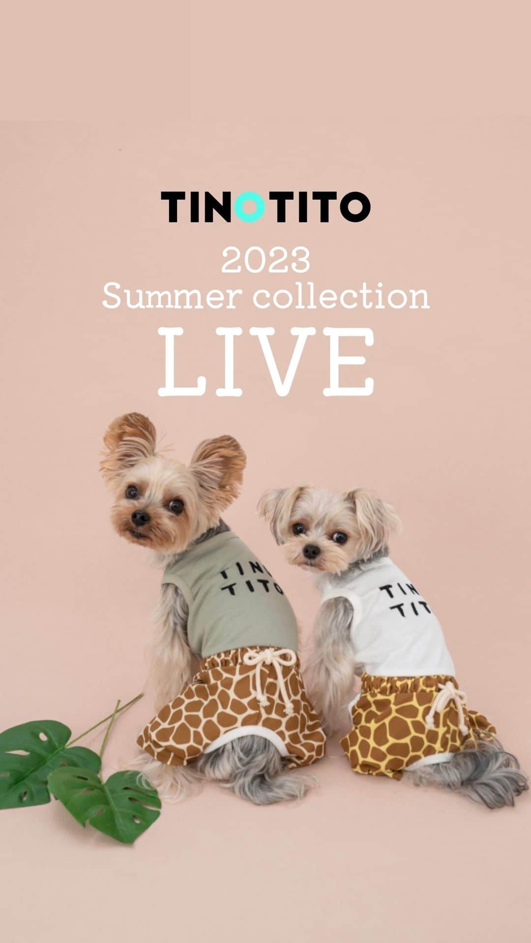 TINOTITO -ティノティート-のインスタグラム：「TINOTITO 夏の新作紹介です♪ 今夜20時より販売開始いたします💕  楽天市場店、ワンボヤージュ本店にて販売いたしますのでぜひ覗いてみてください🥰」