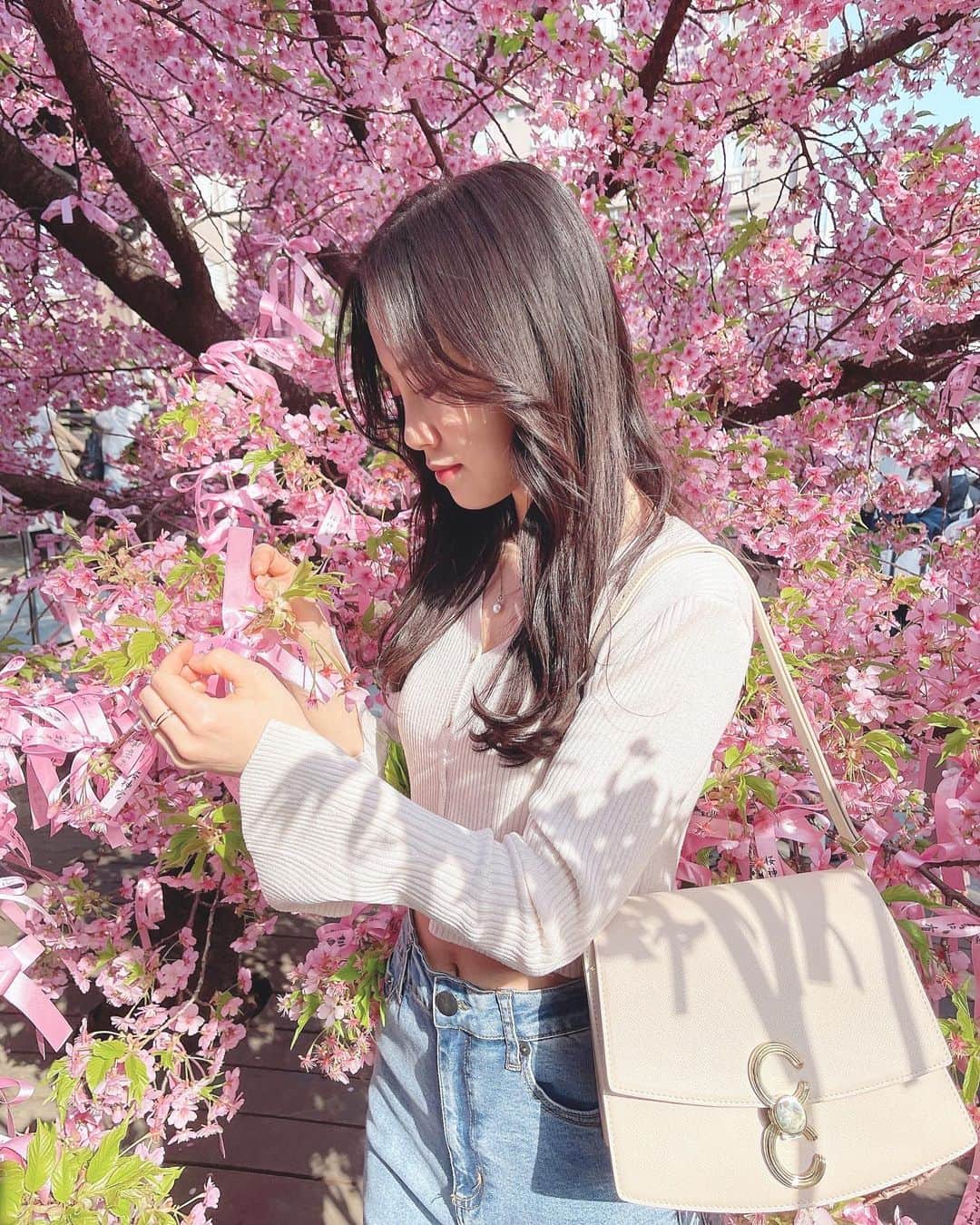 飯野雅さんのインスタグラム写真 - (飯野雅Instagram)「今年も桜を見に行って来ました🌸」3月8日 18時36分 - biichan_