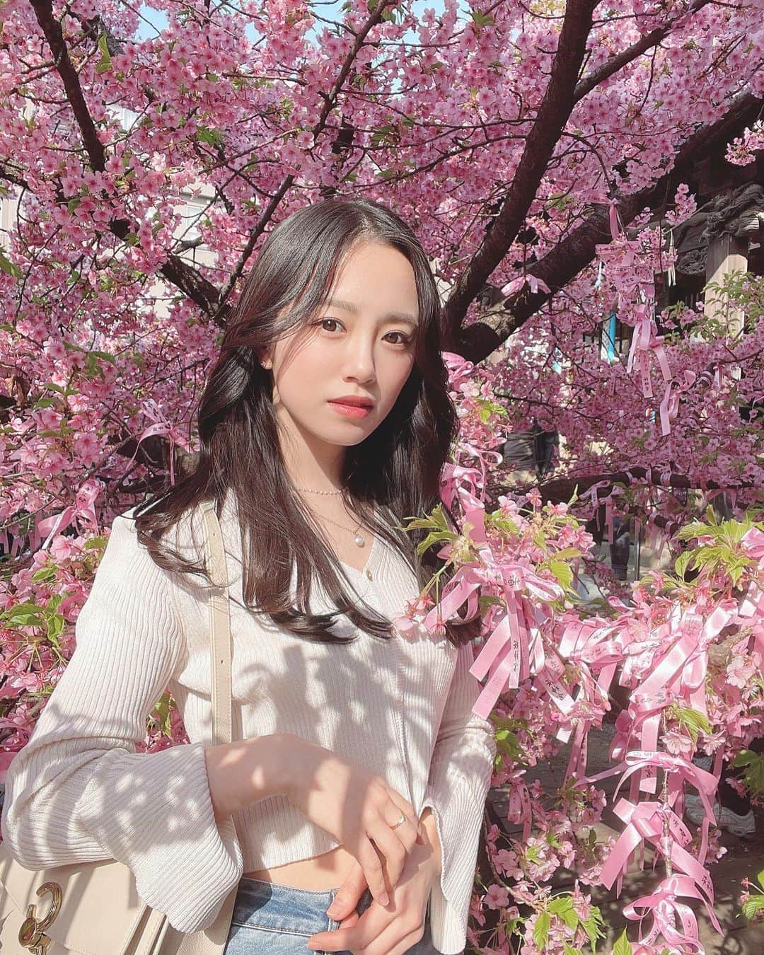 飯野雅さんのインスタグラム写真 - (飯野雅Instagram)「今年も桜を見に行って来ました🌸」3月8日 18時36分 - biichan_