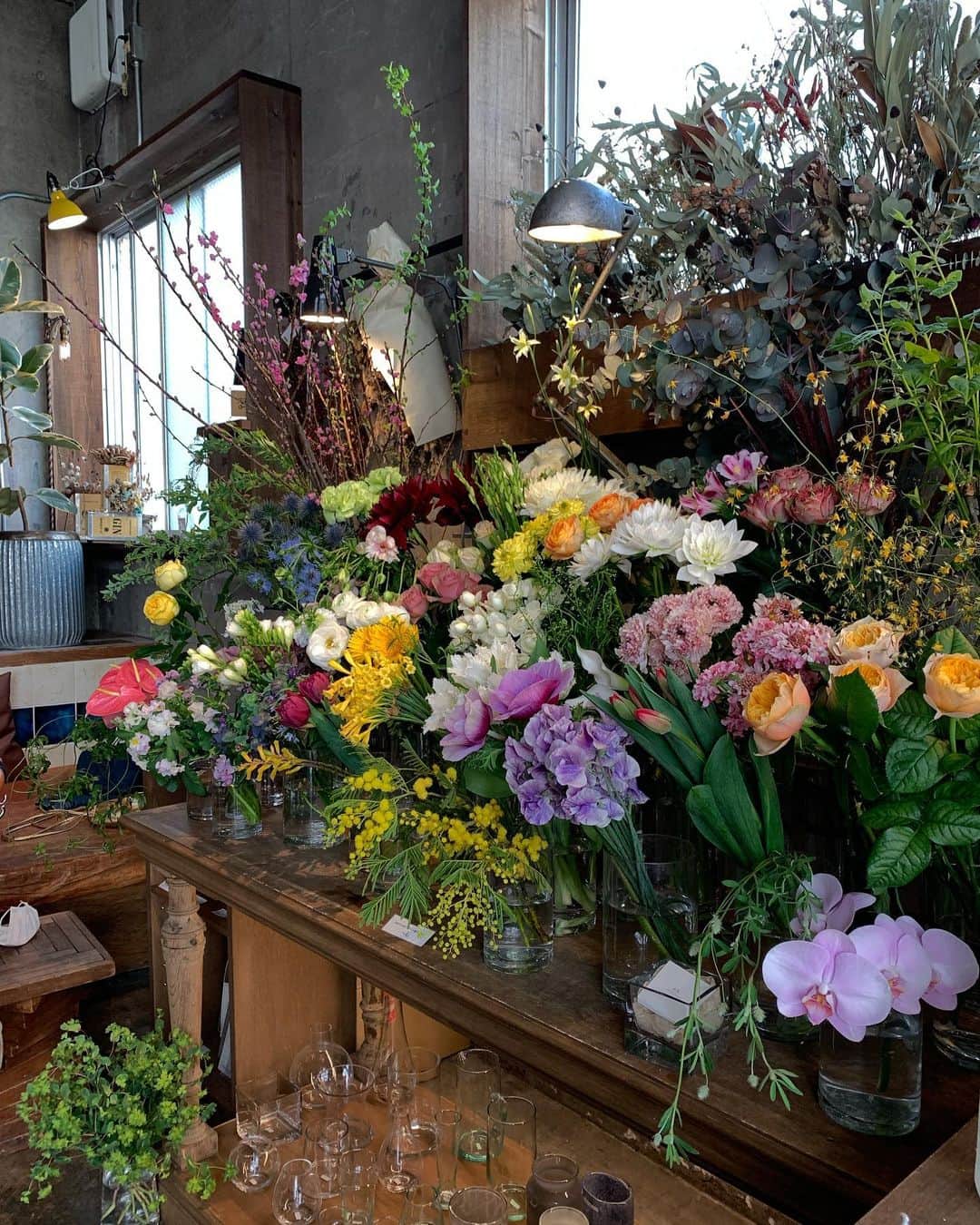 馬渕真由子のグルメインスタ