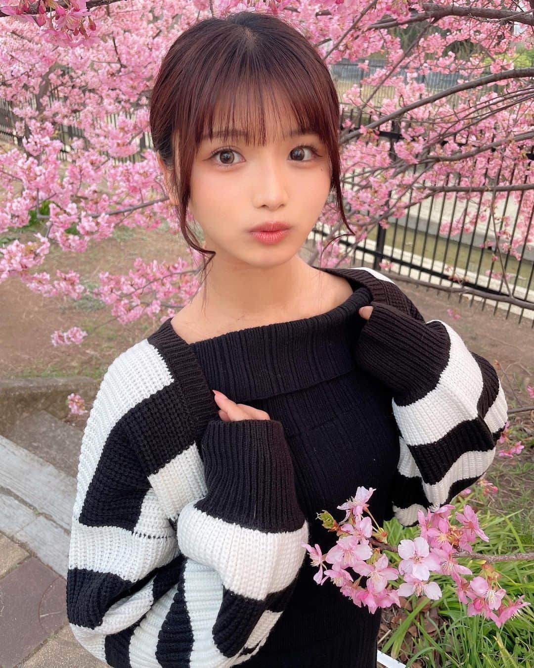 山本ゆうかのインスタグラム：「⁡ . . 今日も河津桜撮影でした📸 ⁡ 天気は20度近くの晴れ☀️で過ごしやすい なんやったらちょと暑いくらい🥵 ⁡ ⁡ でも、夕方は冷えてきたから日中はトップス1枚で、夕方からは何か羽織るものがあると便利です😫 ⁡ ⁡ わいは@wego_official のニットボレロが役立ちました🐼❤️ 大柄のボーダーは細いボーダーよりもカジュアルで、緩く着れるから可愛い👶🏻 ⁡ ⁡ ロングワンピースに長い丈のカーディガンだと、部屋着っぽくなって緩すぎるけど ショート丈だと締まって見えるから、スカートが多いわたしにはありがたい｡ﾟ(ﾟ´ω`ﾟ)ﾟ｡ ⁡ ⁡ 河津桜、京都の方は今週末が見頃かと思います！ 夕方までお花見する人は羽織るもの忘れずに( •᷄ὤ•᷅)っ ⁡ 写真で着てるボレロは @wego_webstore のもので ZOZOTOWNでタイムセールしてます⭐️ ⁡ ⁡ ⁡ #WEGO #ウィゴー #河津桜 #京都観光 #ボレロ #カーディガン #桜撮影」