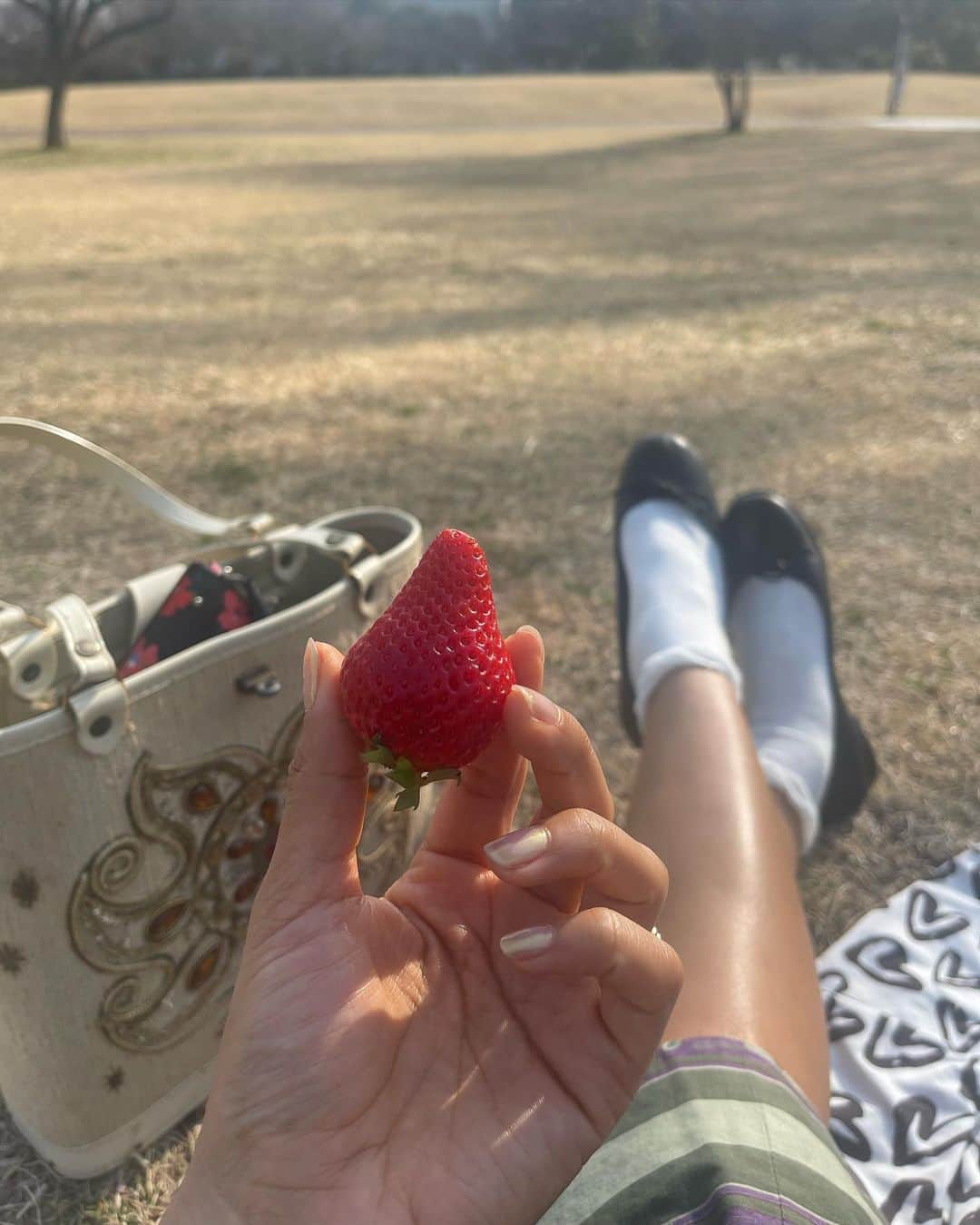 ティファニー・キャデラックのインスタグラム：「Strawberry letter 23」