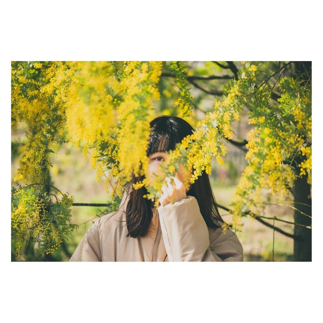 yamatoさんのインスタグラム写真 - (yamatoInstagram)「どれだけ忙しかったとしてもやっぱり天気の良い日に外で日光浴びたり体内の空気入れ替えたり美味しい外食を食べたりする時間は必要だな〜と感じる。  「〇〇の写真を撮りたい」という理由を遠くに行ったりする動機にできる感覚があることは写真をやってて良かったなぁと感じることの１つです。」3月8日 19時49分 - yamato1226