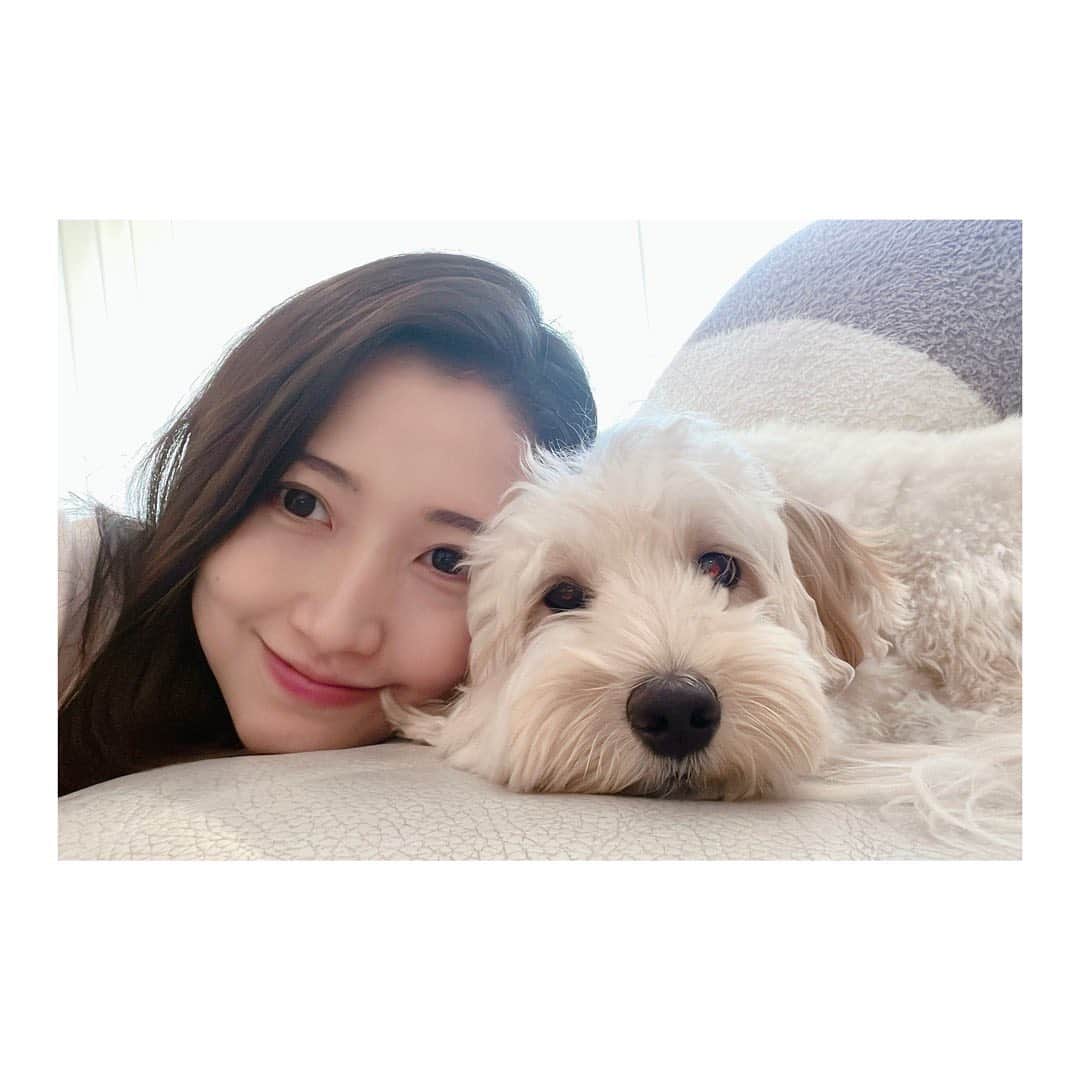 三田友梨佳のインスタグラム：「✳︎ お久しぶりです。 窓を開けると春の香り。 やわらかな陽射しに本格的な春の訪れを感じます。 とはいえこれだけの寒暖差、体調にはみなさんくれぐれも気をつけてくださいね。 #最近の日々 #ぱるむとゆっくり過ごしています🐶」