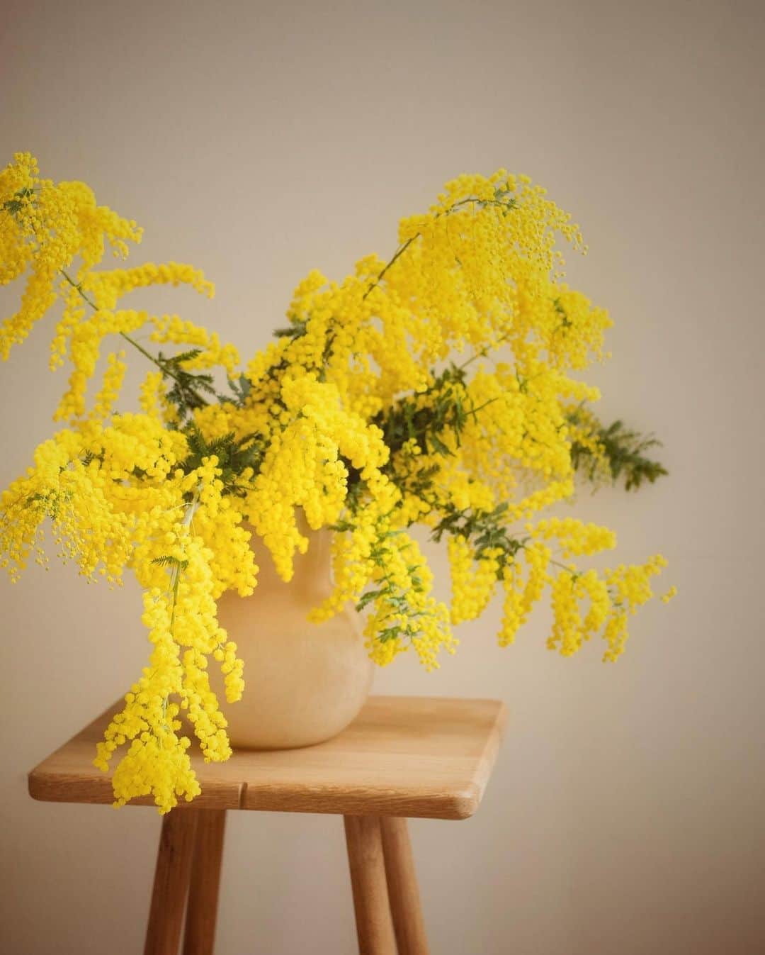 増田由希子さんのインスタグラム写真 - (増田由希子Instagram)「#womansday Festa della donna🌼 #mimosa #mimosas ミモザ( 銀葉アカシア )をリースに仕立てました。  3月8日は、国際女性デー。 そして、ミモザの日🌼」3月8日 20時11分 - nonihana_