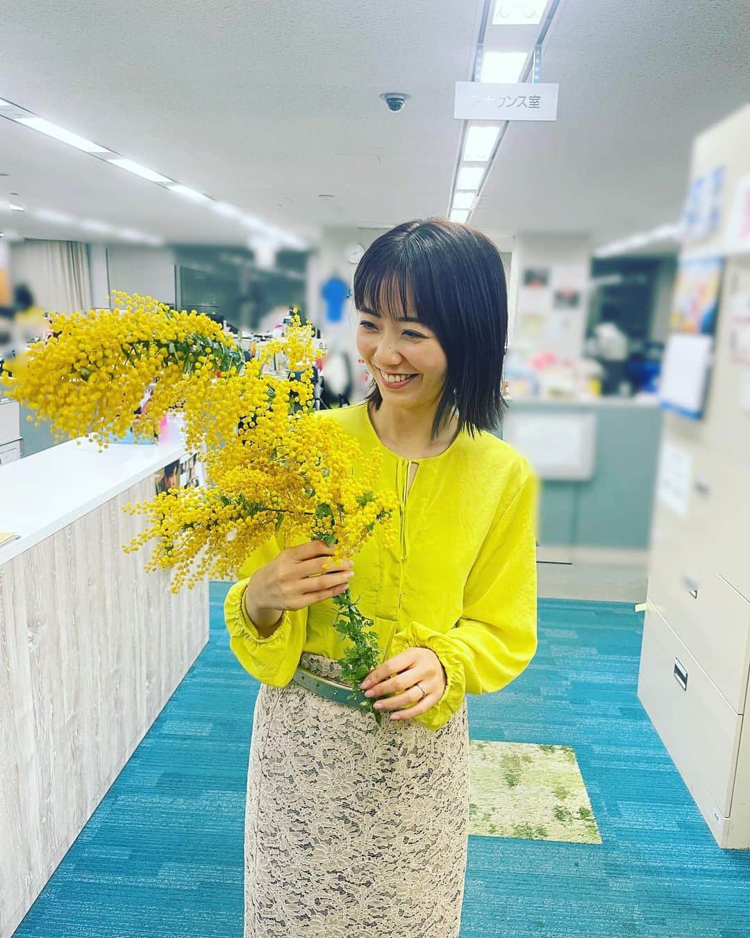 藤井弘輝(ふじいこうき) のインスタグラム：「みもざ #ミモザ #アカシアともいう #黄色いね #後大きいね  @reina.uchida」
