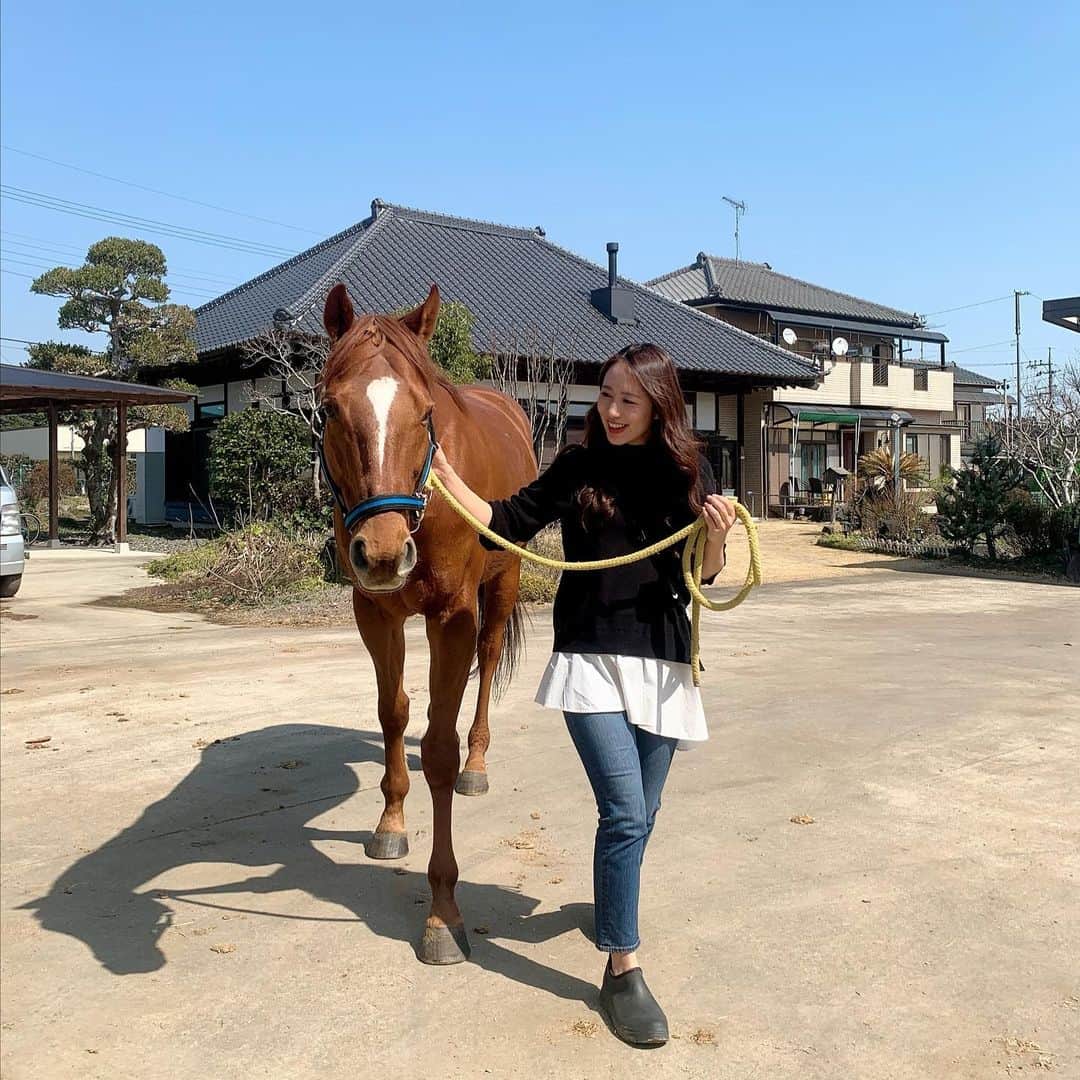 守永真彩のインスタグラム：「. . 久々に馬と触れ合えた日でした🤍 やっぱり馬は可愛い...たまらん🥺💓  #民家de馬 #なんと素敵な組み合わせ　 #富里」