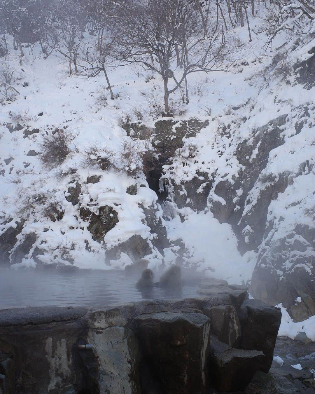 新井貴子さんのインスタグラム写真 - (新井貴子Instagram)「冬のおもひで。  季節も変わり、あたたかくなってきましたね🍵🍃」3月8日 21時25分 - kikoarai